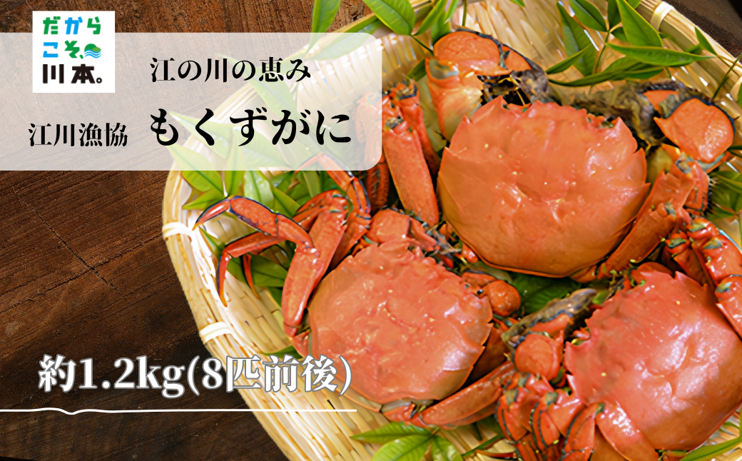 写真1